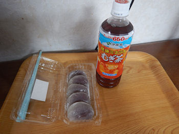 ���킵�ܓ� ���啟