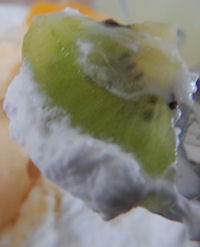 ���a�̓��@�v�����A�����[�h