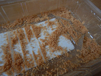 ���킵�ܓ� ���і�