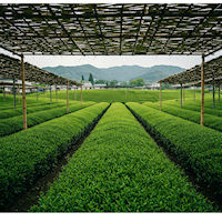 ���킵�ܓ� �����\��