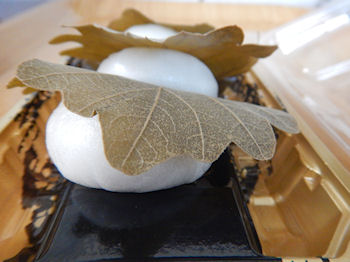 ���킵�ܓ��@����