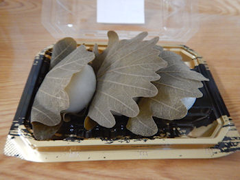 ���킵�ܓ��@����