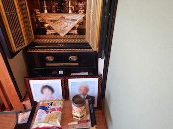 ��̓��@��ː���