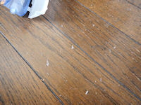 �G�A�R���@�|��