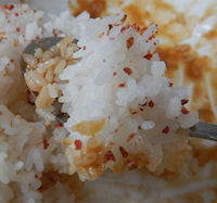 �{���J���[