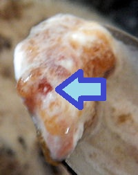 �h�����~�[�@����݂�