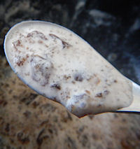 �h�����~�[�@����݂�