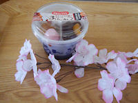 �h�����~�[�@����݂�