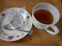 �V���g���[�[ �����u����