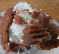 �V���g���[�[ �����u����