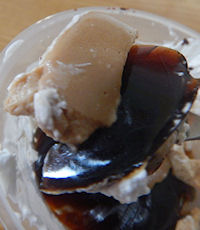 �x�g�i���@�R�[�q�[�[���[