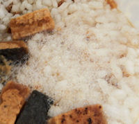 ���� �䂤�Ȃ���