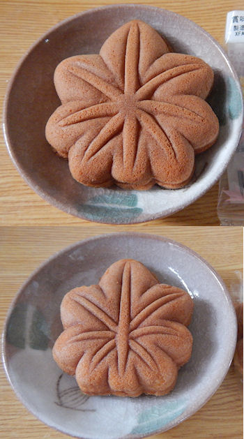 ���킵�ܓ� ���݂��\��