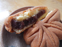 ���킵�ܓ� ���݂��\��